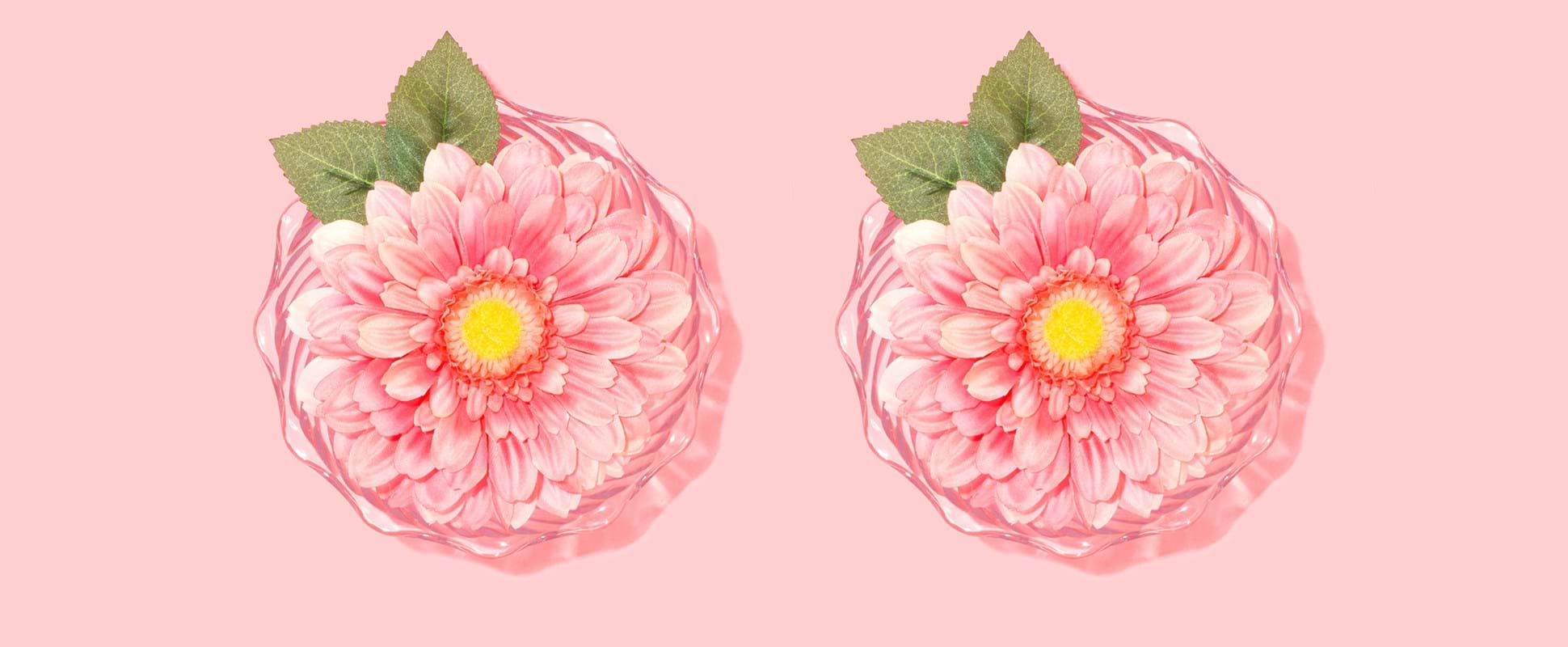 Wat maakt borstvergroting bij Wellness Kliniek zo goedkoop?